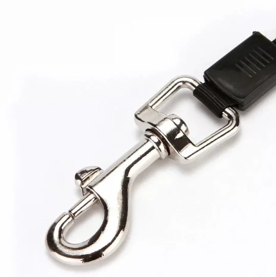 Guia Retrátil para Cães e Gatos - Facilidade e Controle em Passeios